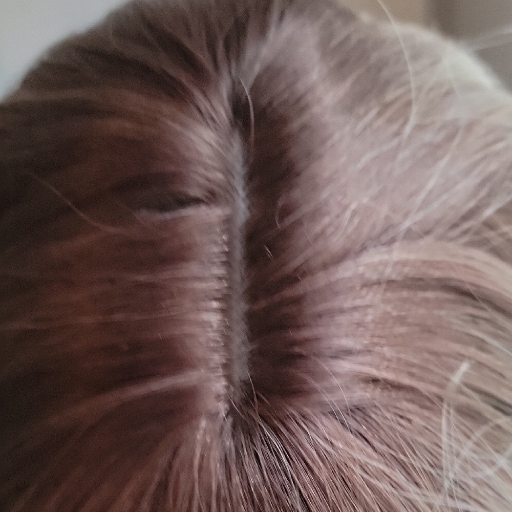 NWOT Brown & Blonde Ombre Wig - Picture 2 of 6